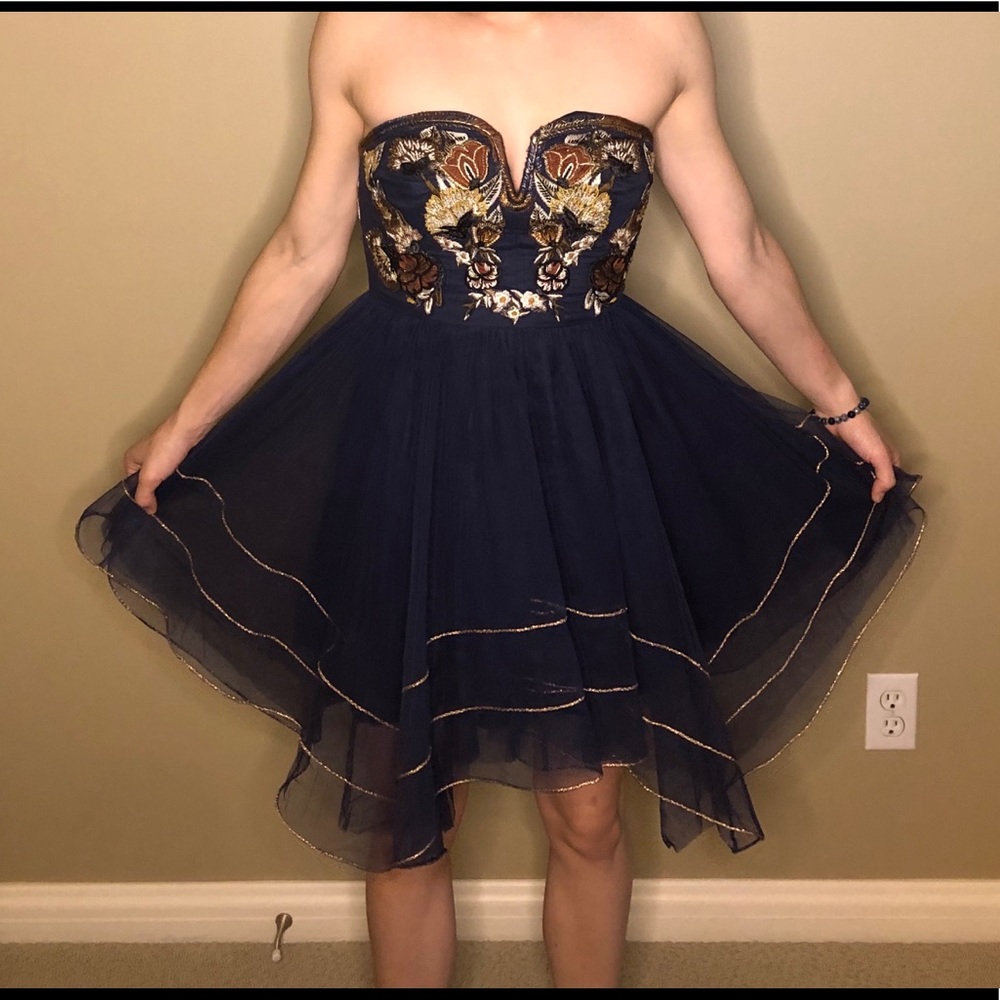 Free People Embroidered tulle lace dress✨